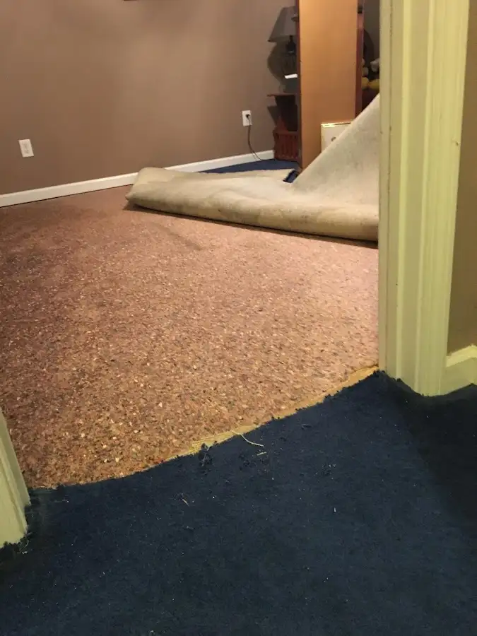Carpet pad removal revealing water damage during Water Mitigation Services in Beachwood